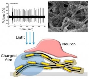 Nanotube Film Optogenetics Retina Vision