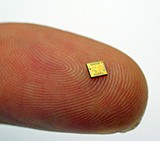 Microchip for Detection of Electrochemical Markers