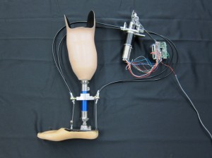 Prosthetic Ankle 