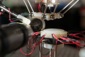 Drosophila Hangs from Robot’s Suction Tube