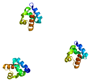 Protein SHANK3