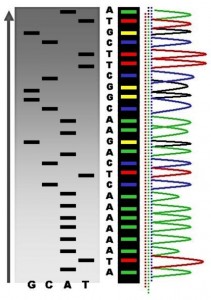 DNA Sequencing 
