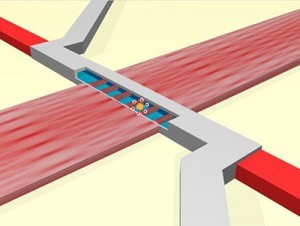 UCSC MicrofluidicChip