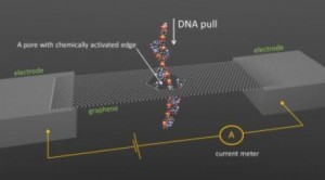 DNA Sequencing through a Graphene Pore 