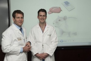 Neurosurgeons Developed Dissolvable Brain Sensor Implant 