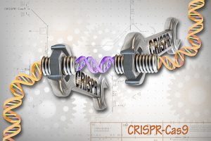 Gene Editing CRISPR-Cas9 
